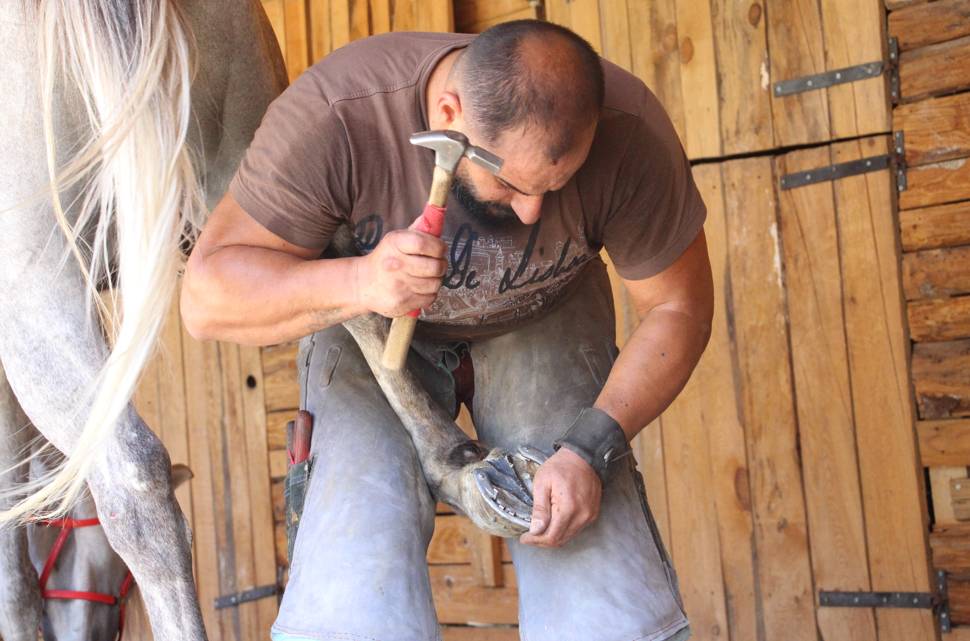 Öğretim görevlisi boş vaktinde aylık 60 bin lira kazanıyor 5